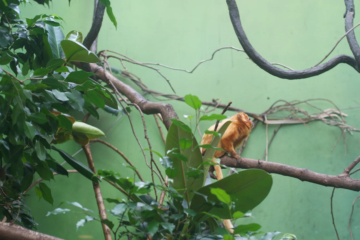 Anna gal bogorm 2013_08_08 70.jpg