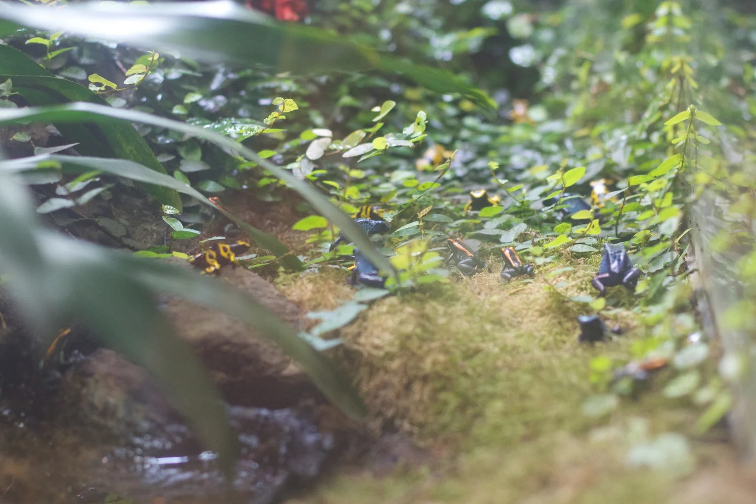 Anna gal bogorm 2013_08_08 71.jpg