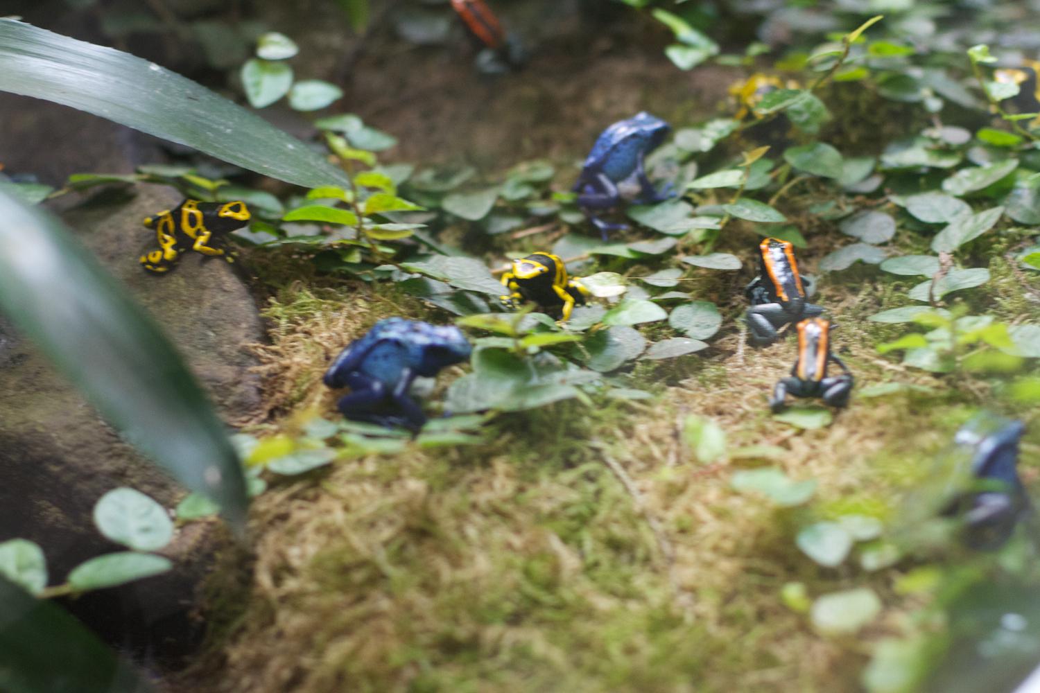 Anna gal bogorm 2013_08_08 72.jpg