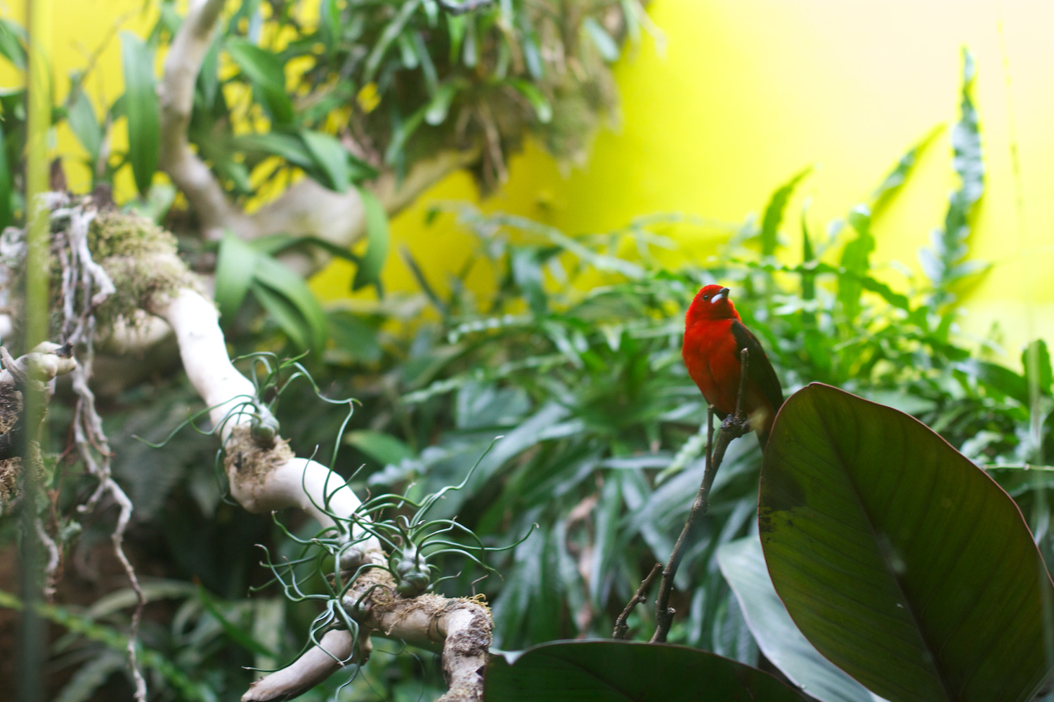 Anna gal bogorm 2013_08_08 73.jpg