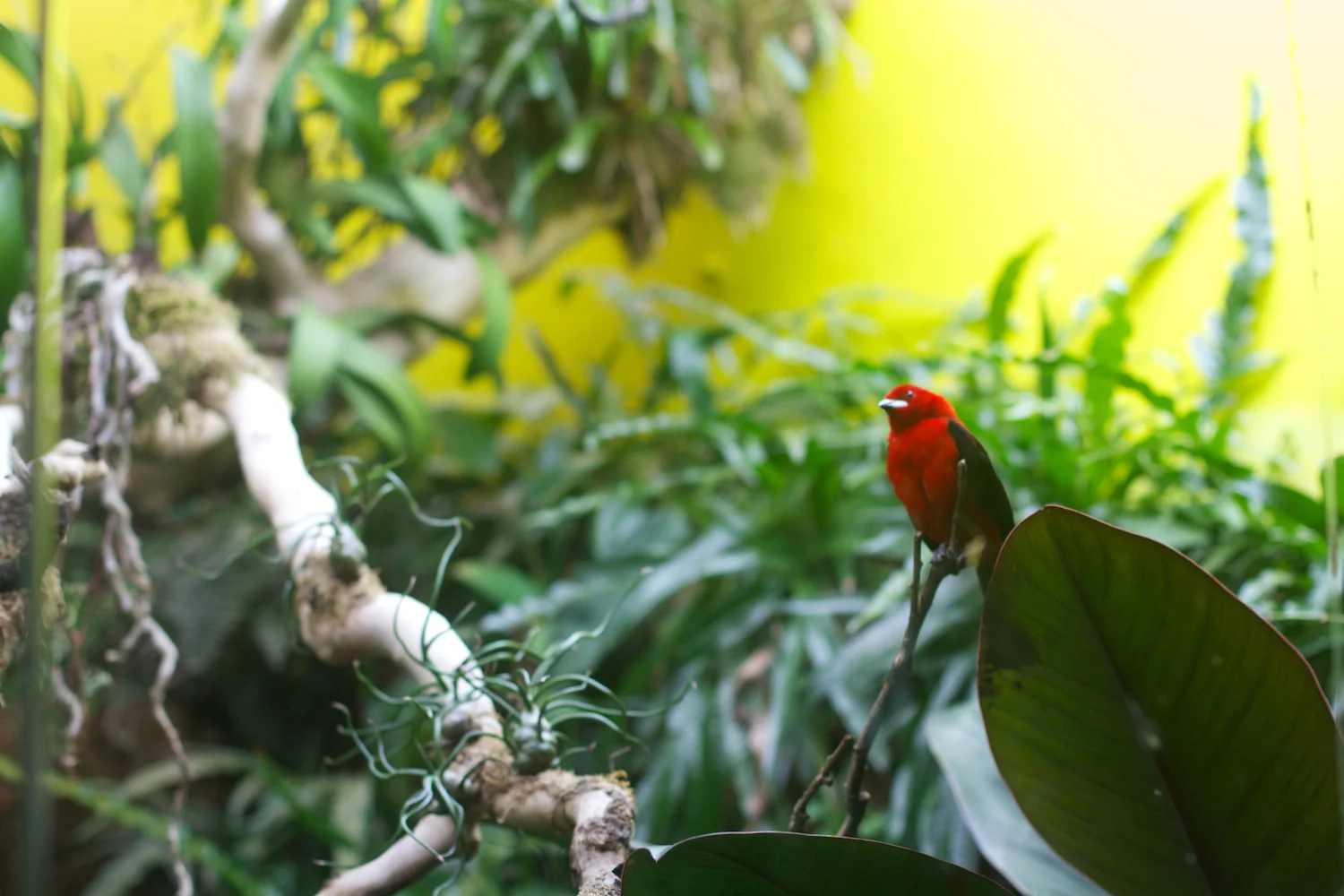 Anna gal bogorm 2013_08_08 74.jpg