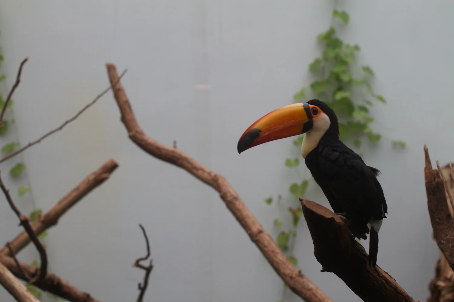 Anna gal bogorm 2013_08_08 75.jpg