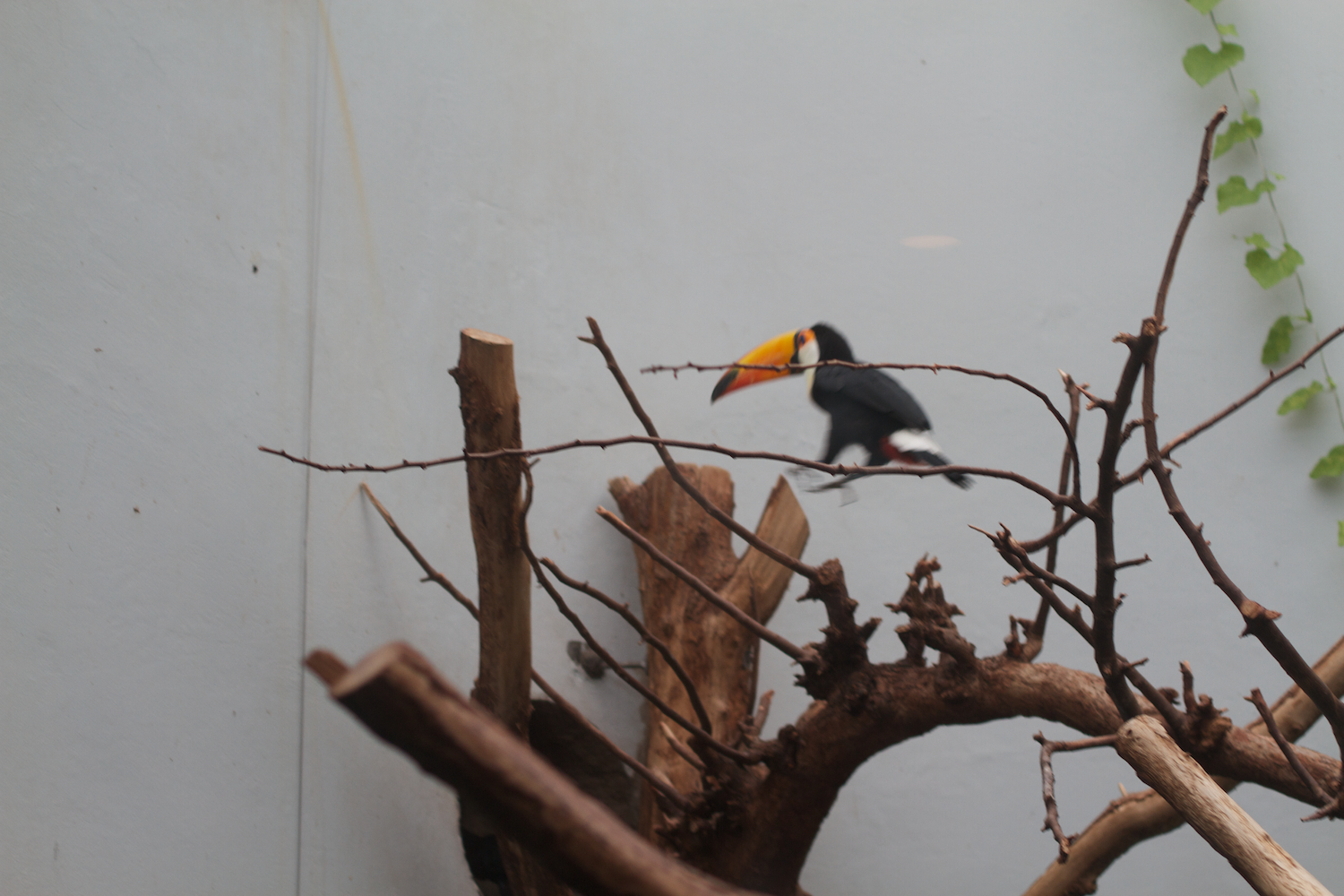 Anna gal bogorm 2013_08_08 76.jpg