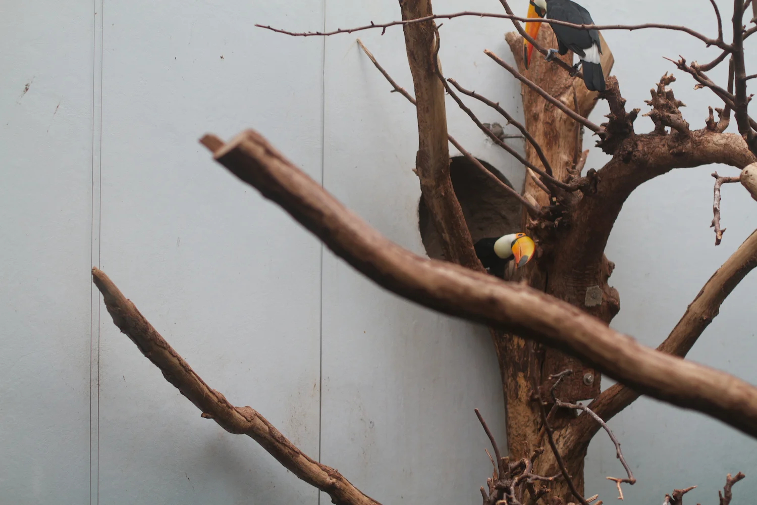 Anna gal bogorm 2013_08_08 78.jpg