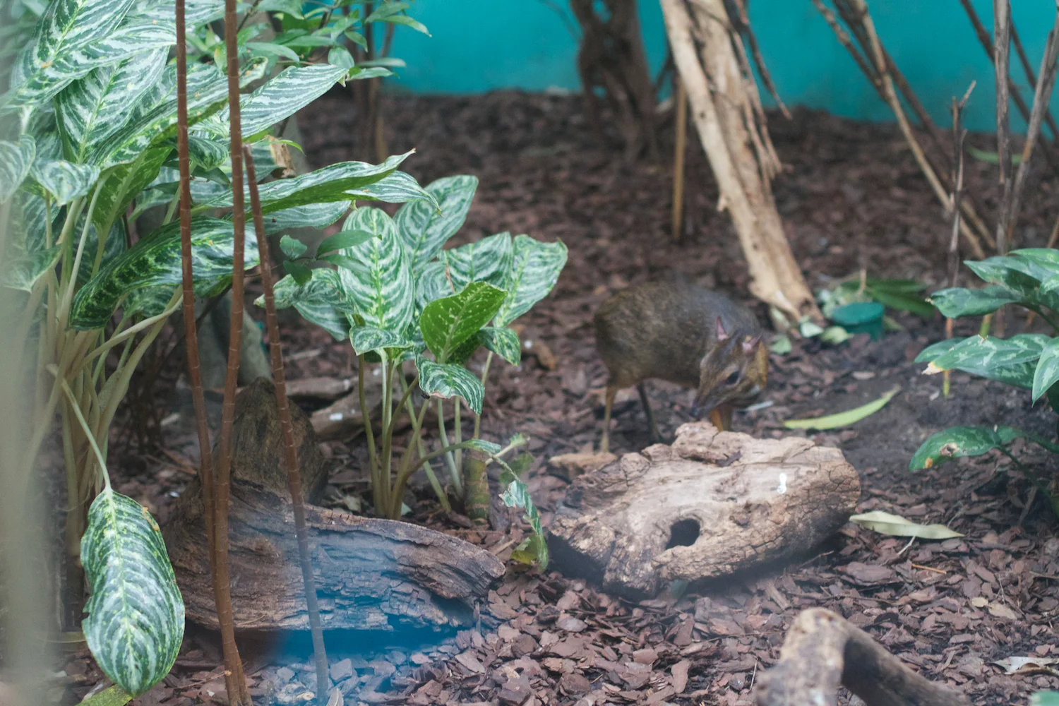 Anna gal bogorm 2013_08_08 79.jpg