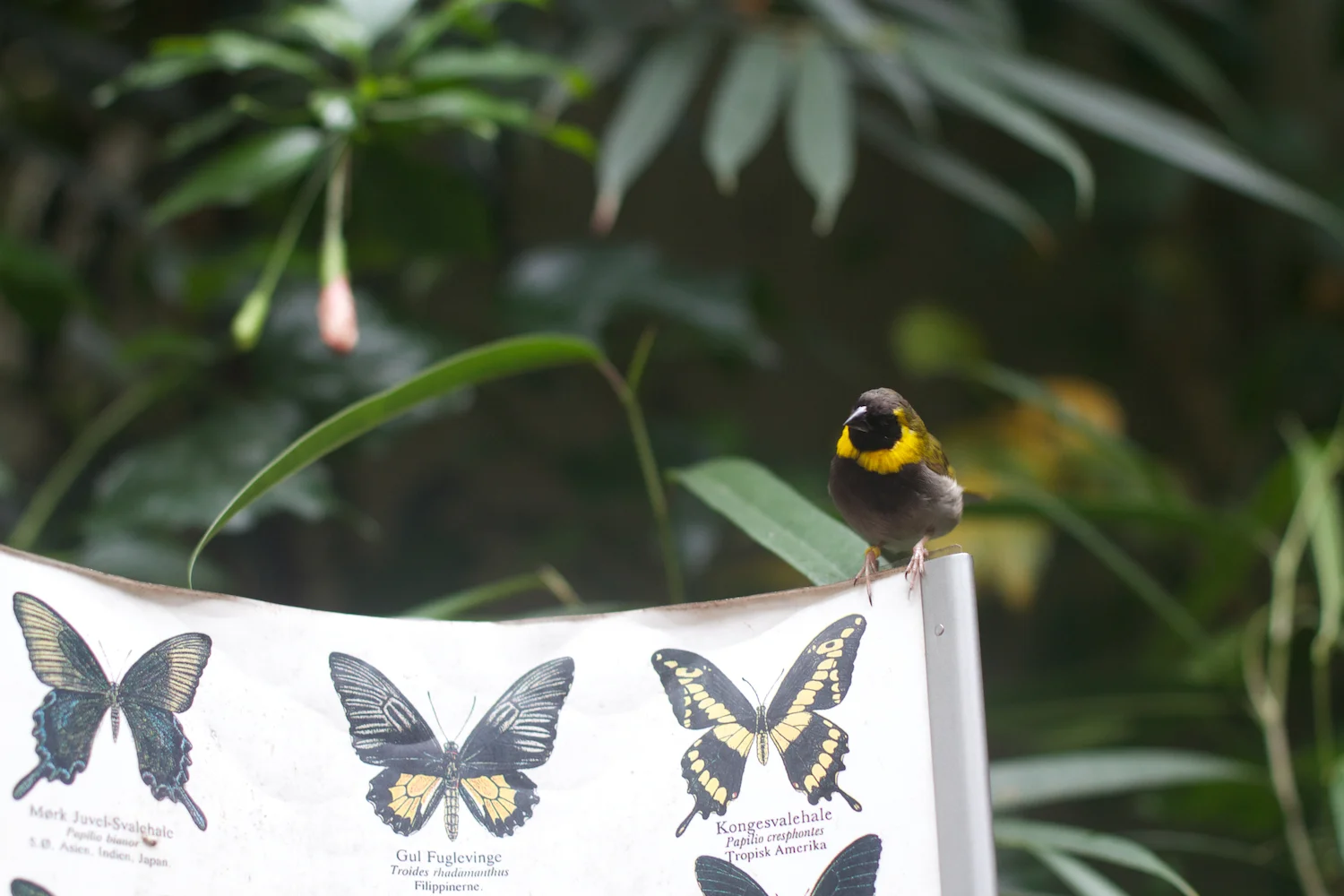 Anna gal bogorm 2013_08_08 80.jpg