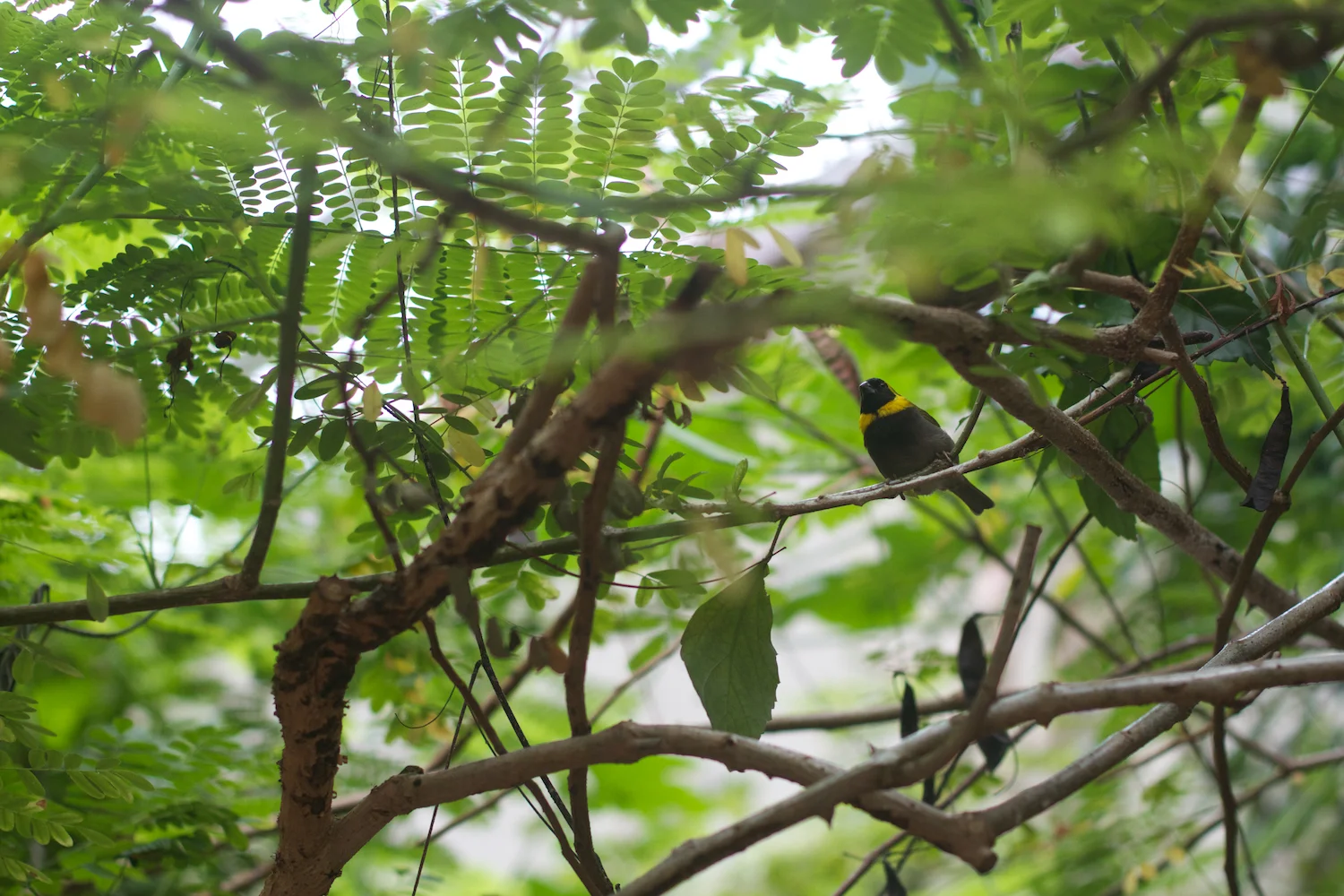 Anna gal bogorm 2013_08_08 81.jpg