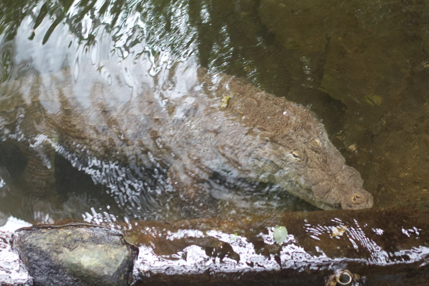 Anna gal bogorm 2013_08_08 83.jpg