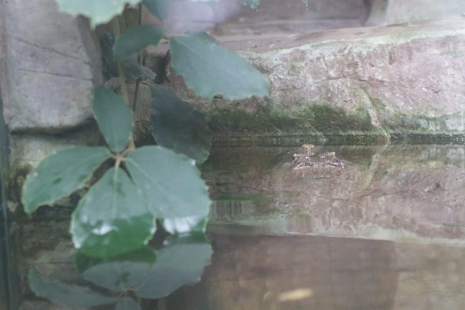 Anna gal bogorm 2013_08_08 85.jpg