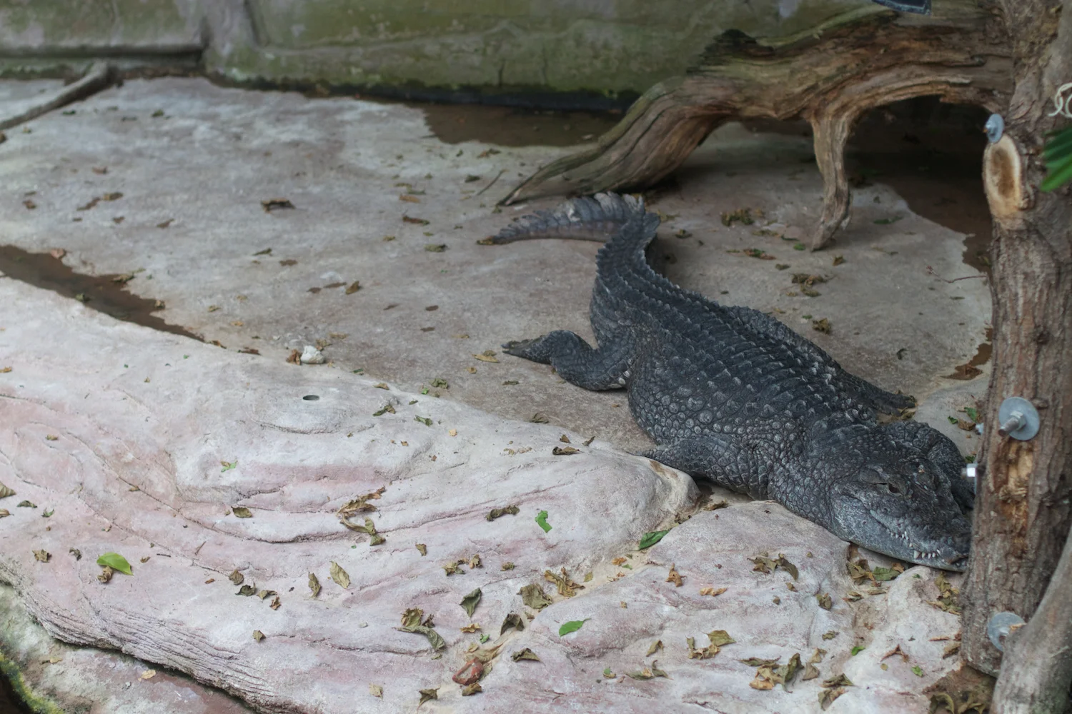 Anna gal bogorm 2013_08_08 87.jpg