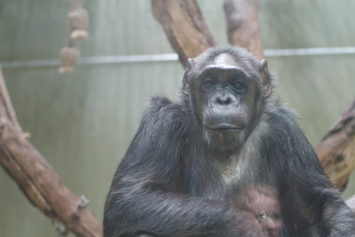 Anna gal bogorm 2013_08_08 91.jpg