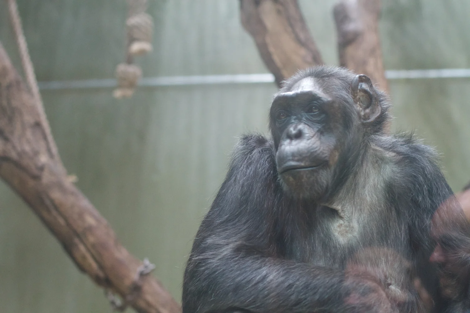 Anna gal bogorm 2013_08_08 92.jpg