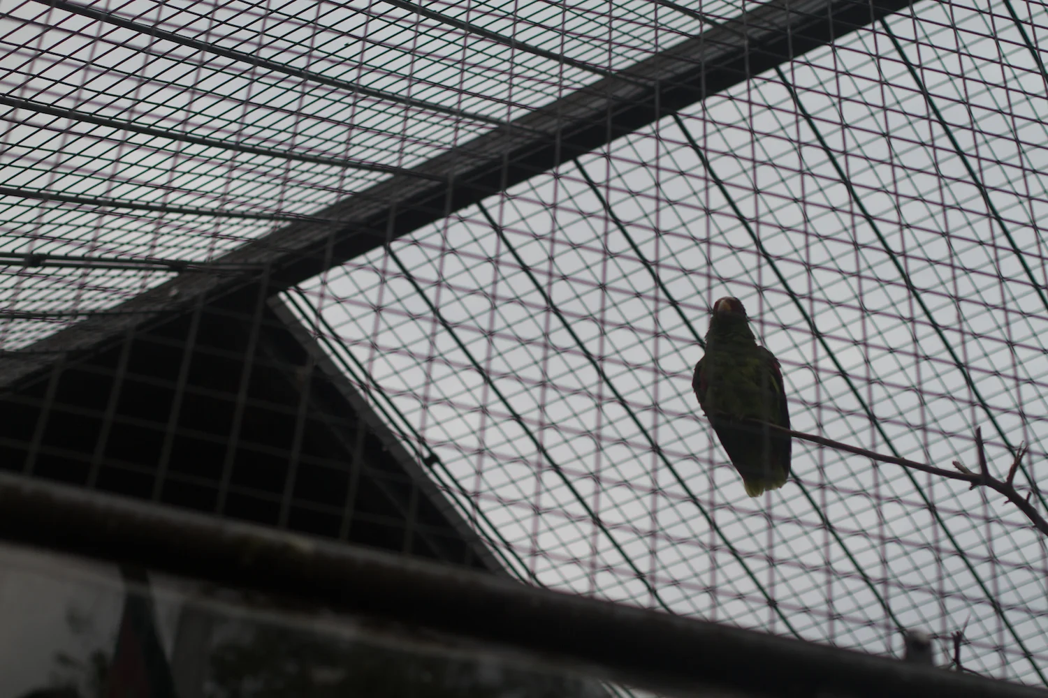 Anna gal bogorm 2013_08_08 93.jpg