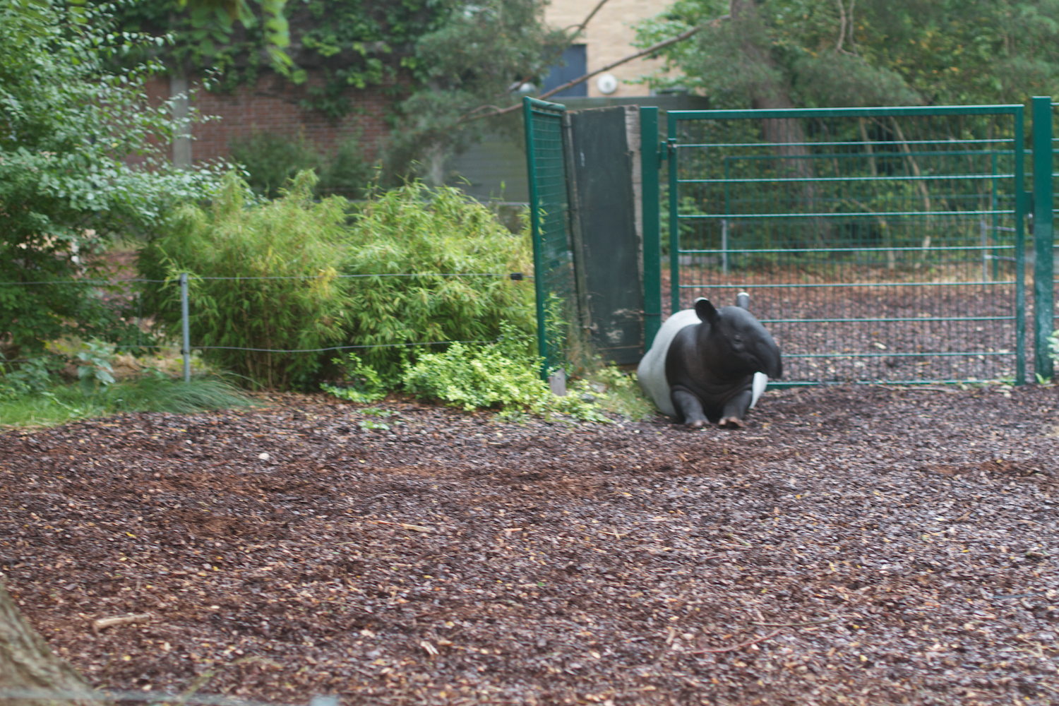 Anna gal bogorm 2013_08_08 94.jpg