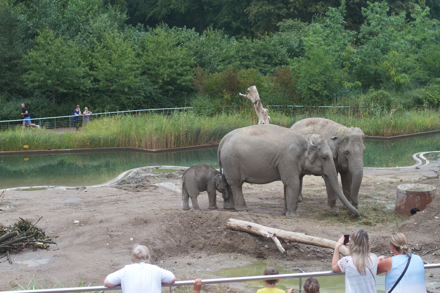 Anna gal bogorm 2013_08_08 98.jpg