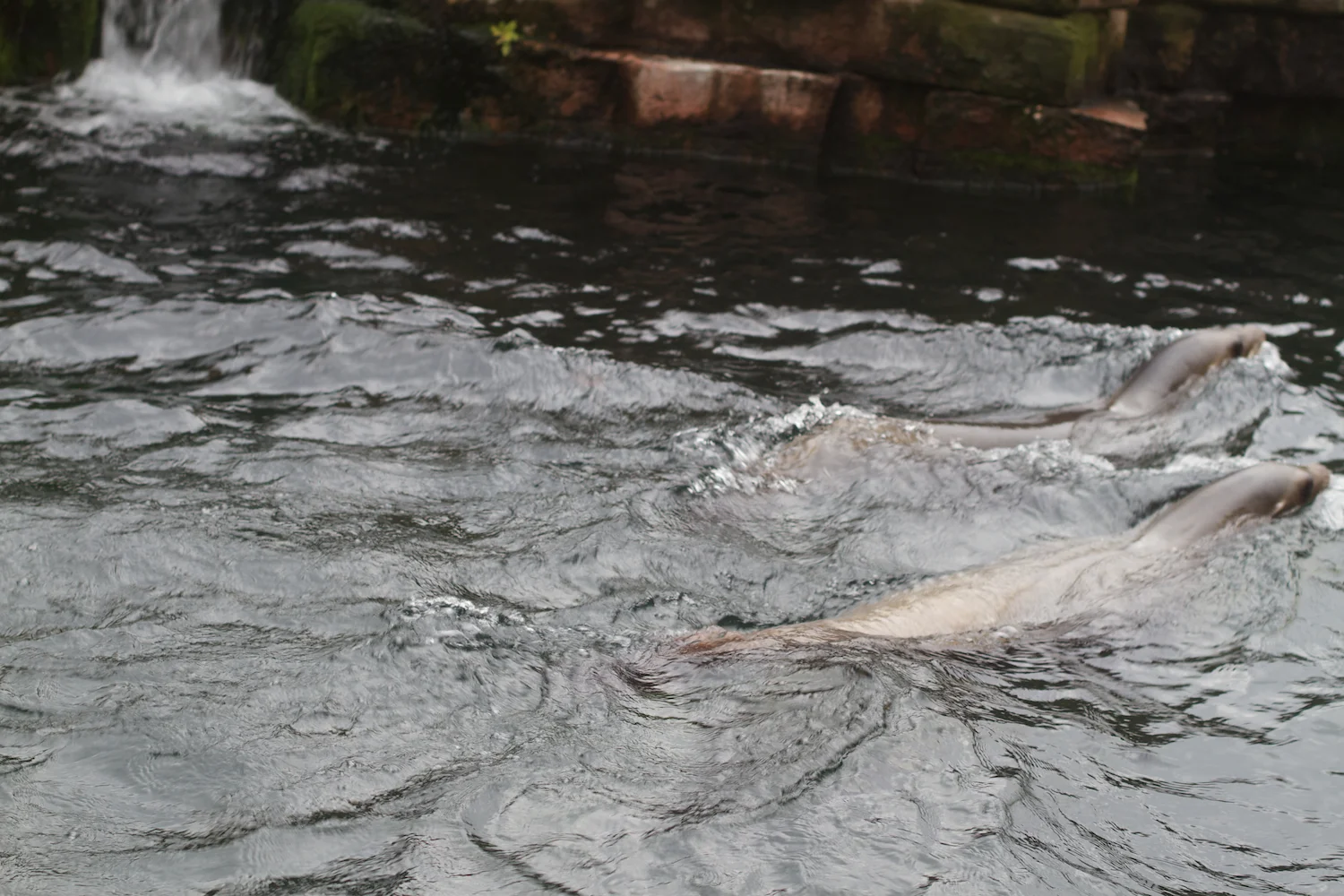 Anna gal bogorm 2013_08_08 102.jpg