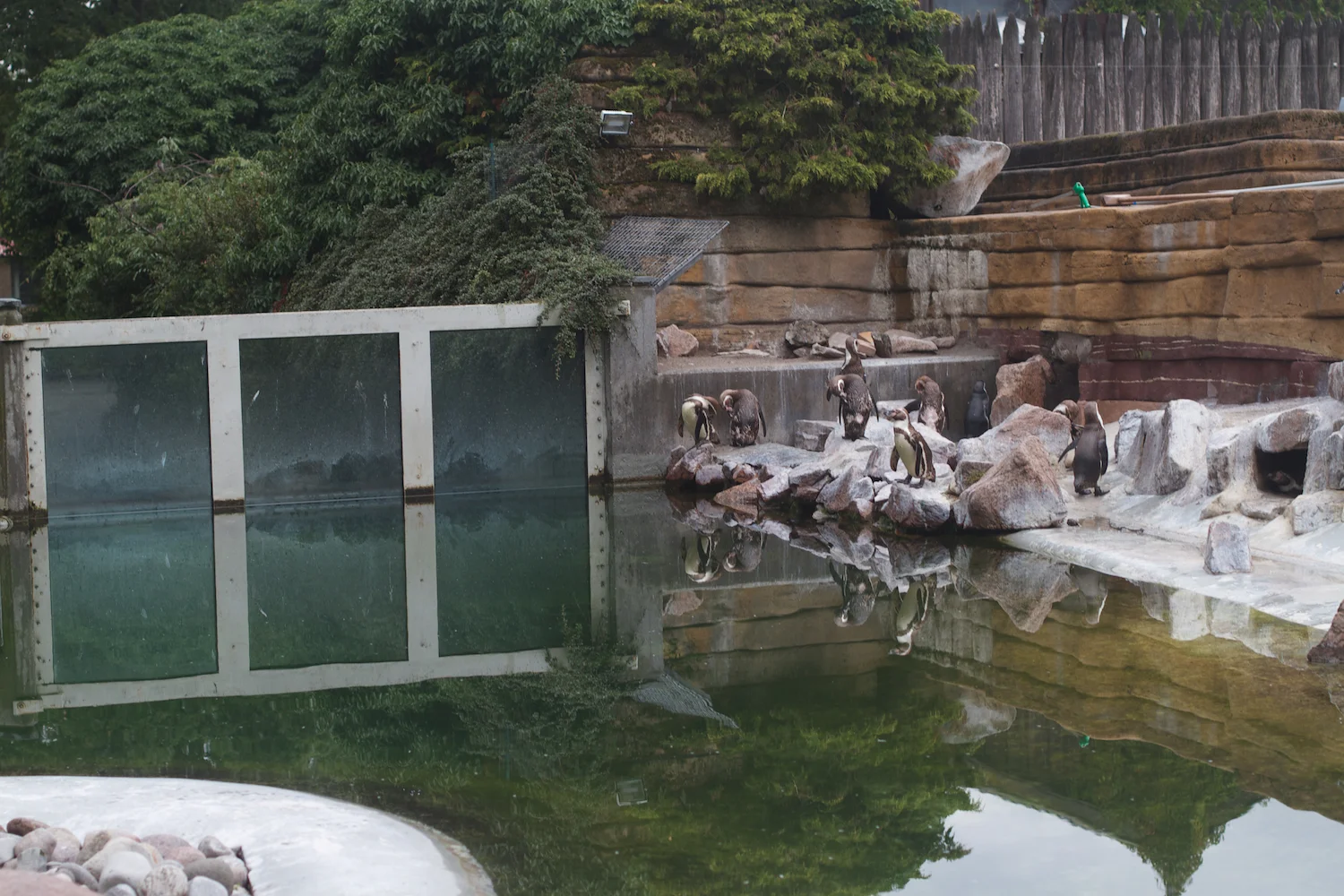 Anna gal bogorm 2013_08_08 103.jpg