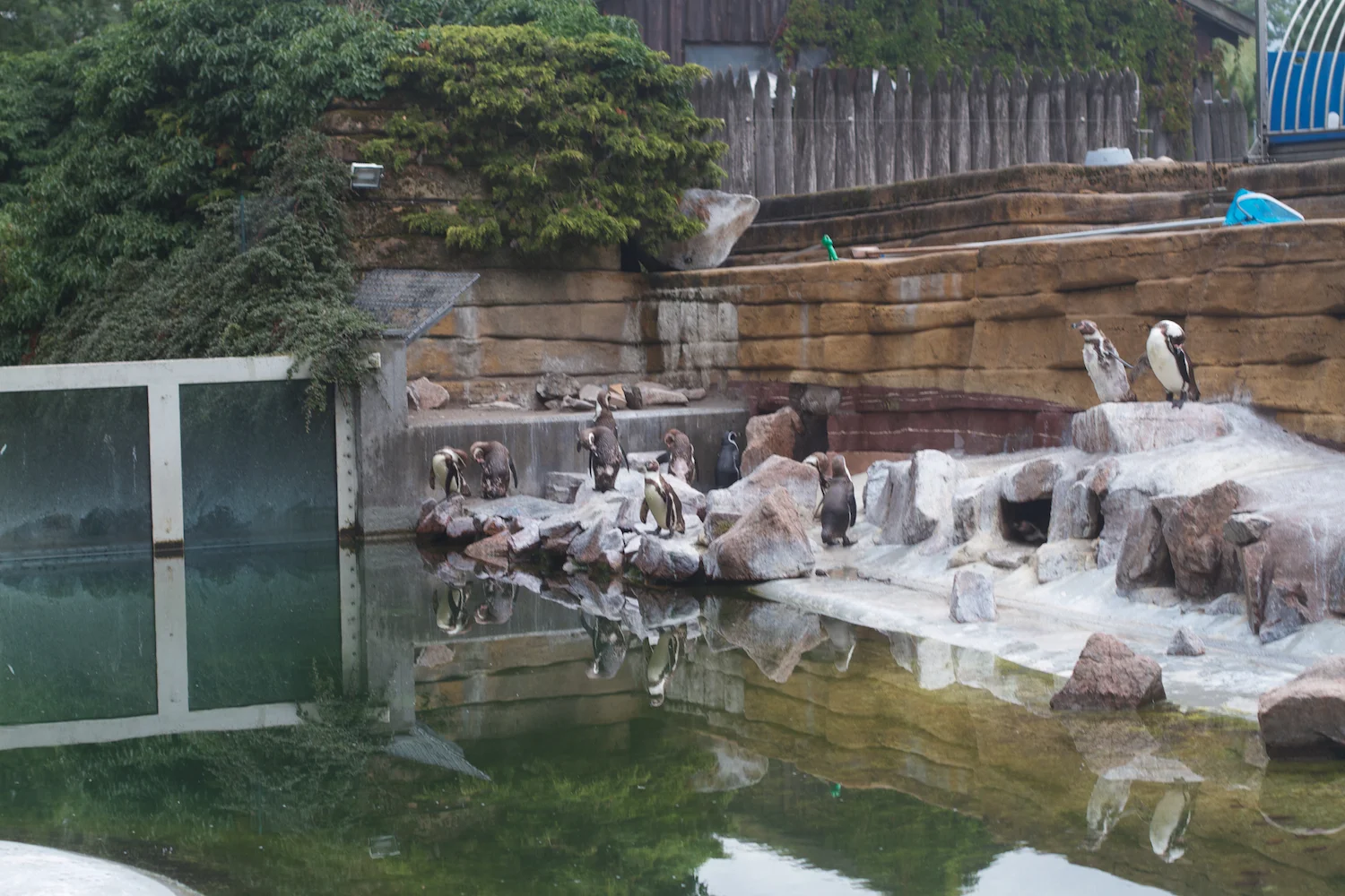 Anna gal bogorm 2013_08_08 104.jpg