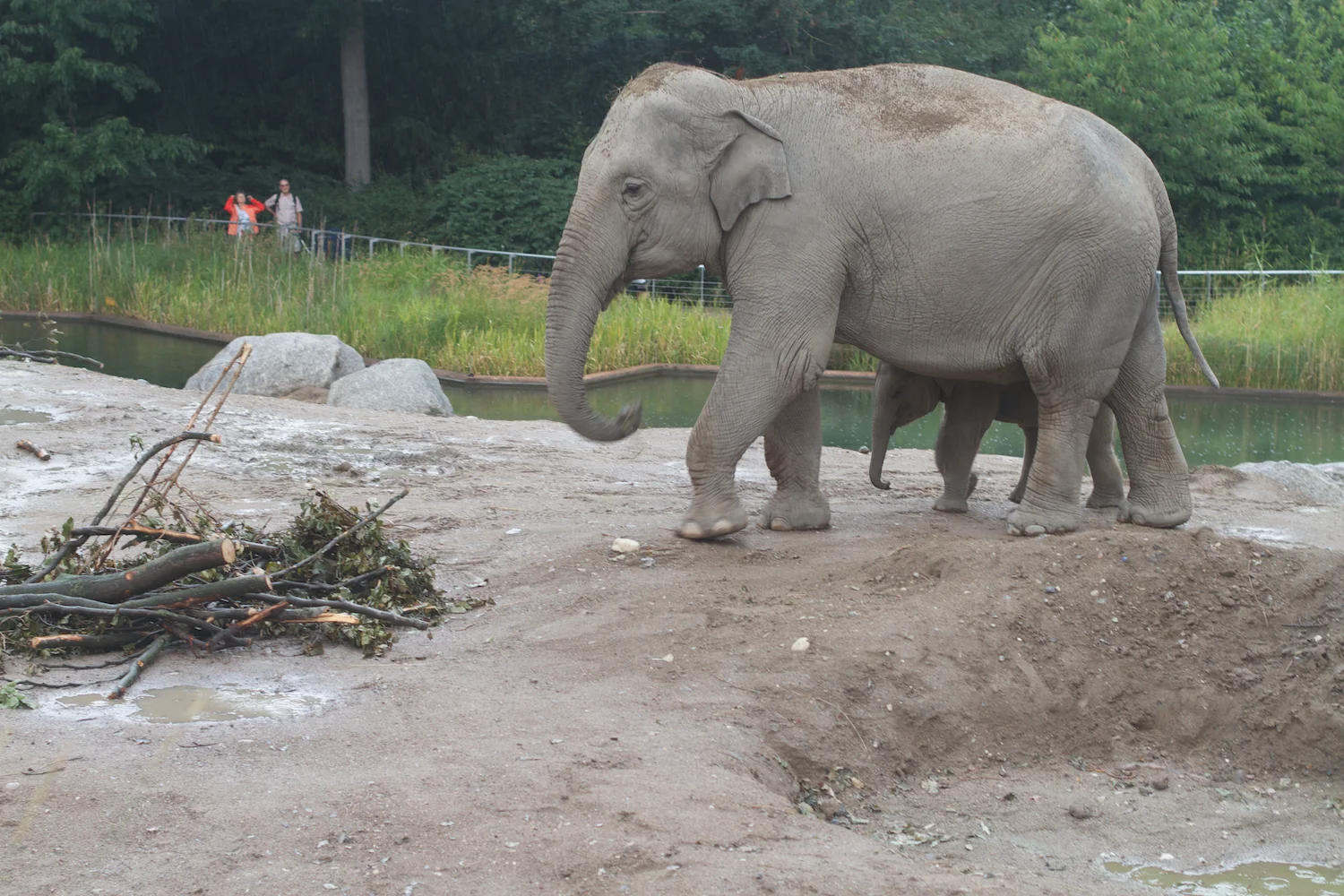 Anna gal bogorm 2013_08_08 109.jpg