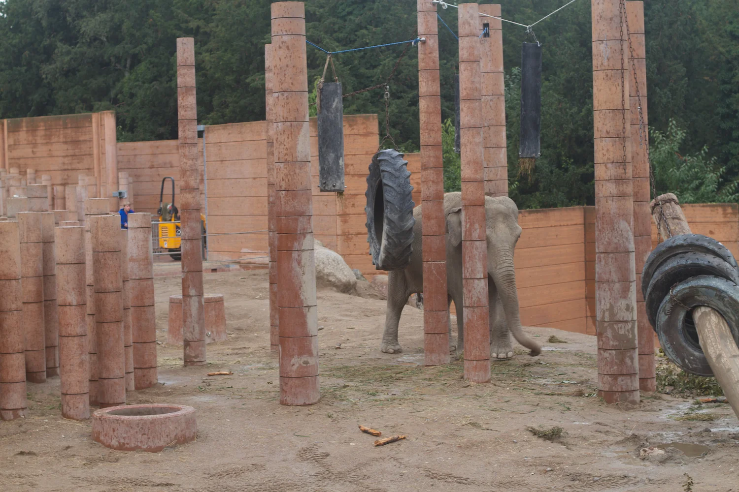 Anna gal bogorm 2013_08_08 115.jpg