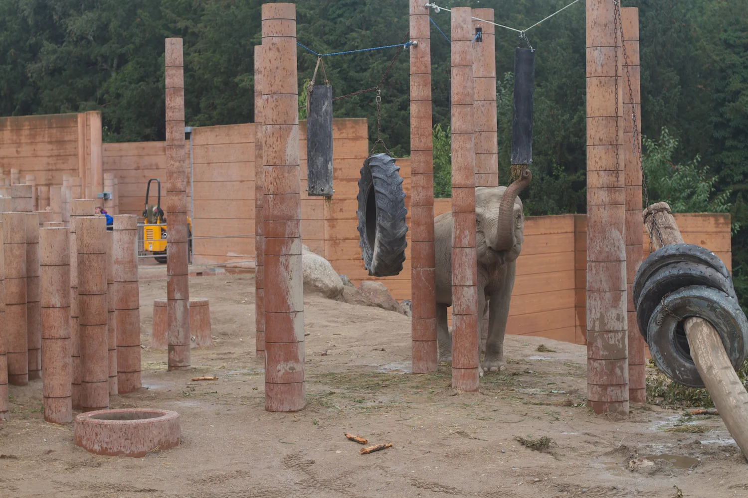 Anna gal bogorm 2013_08_08 116.jpg