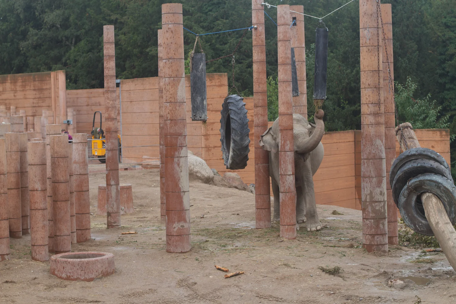 Anna gal bogorm 2013_08_08 117.jpg