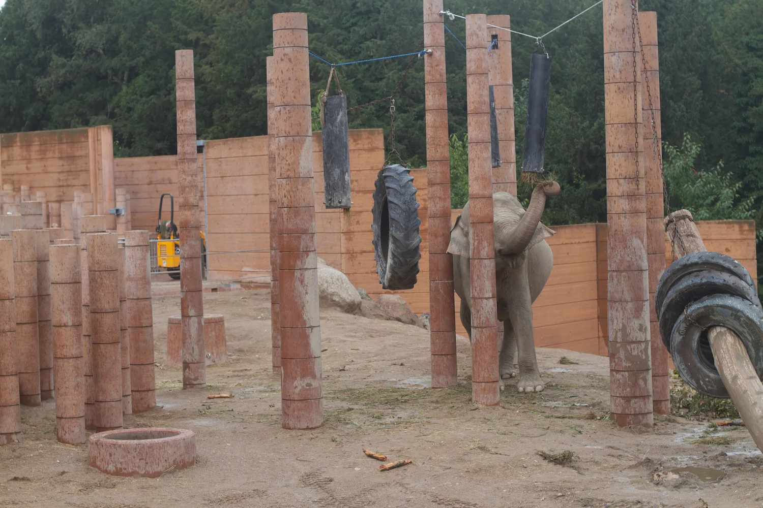 Anna gal bogorm 2013_08_08 118.jpg