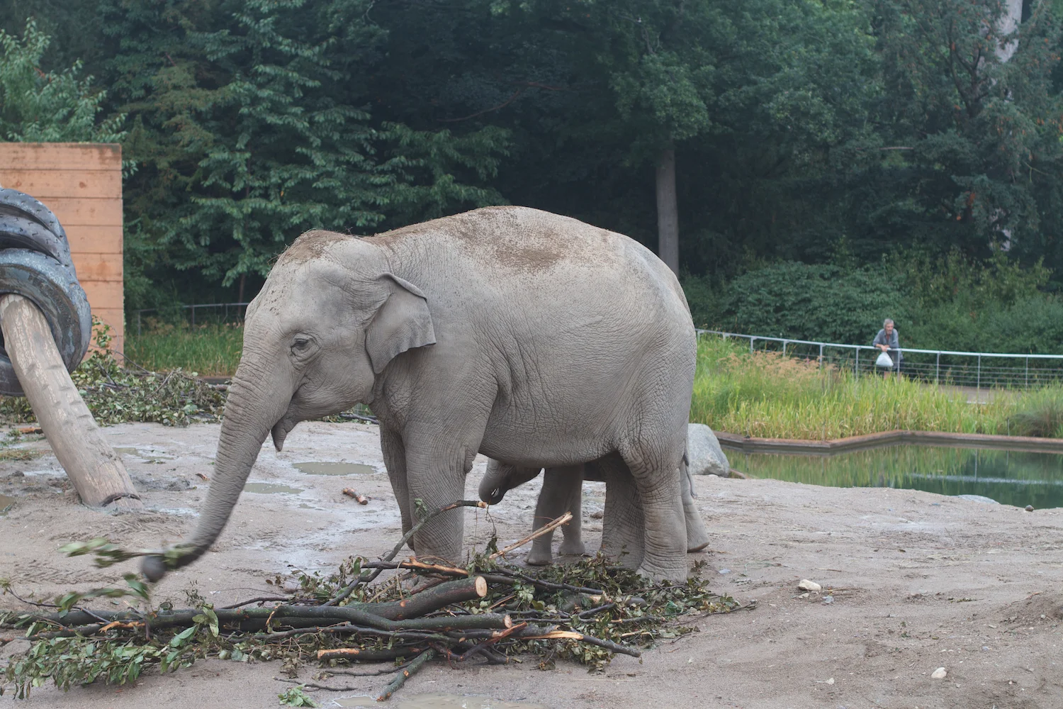 Anna gal bogorm 2013_08_08 119.jpg