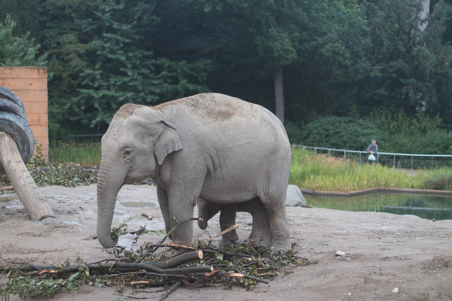 Anna gal bogorm 2013_08_08 120.jpg