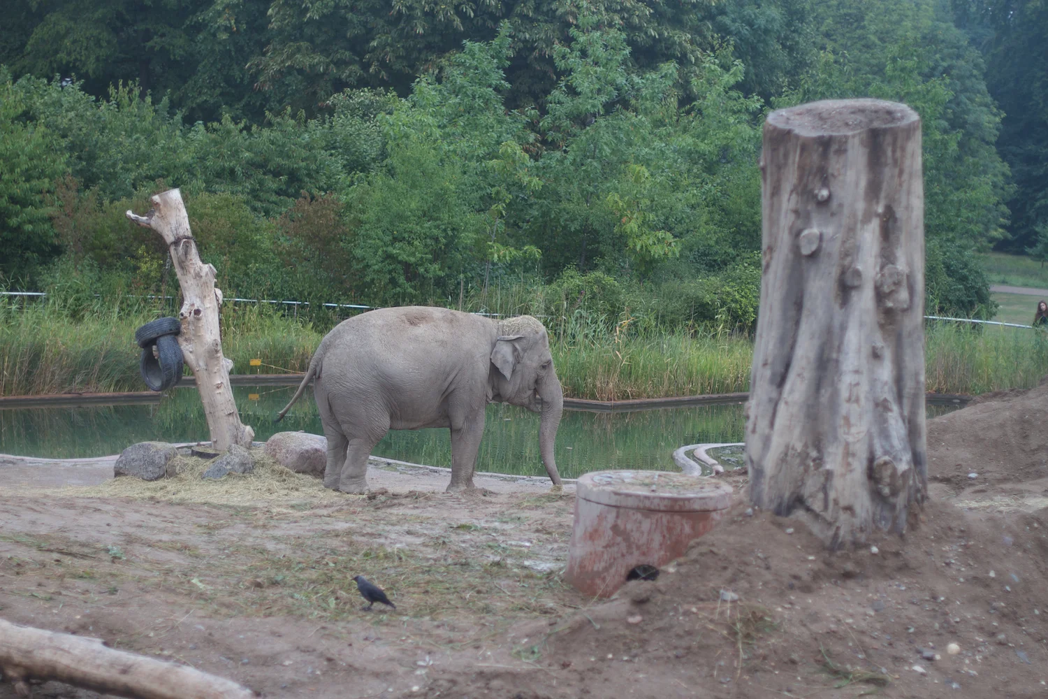 Anna gal bogorm 2013_08_08 121.jpg