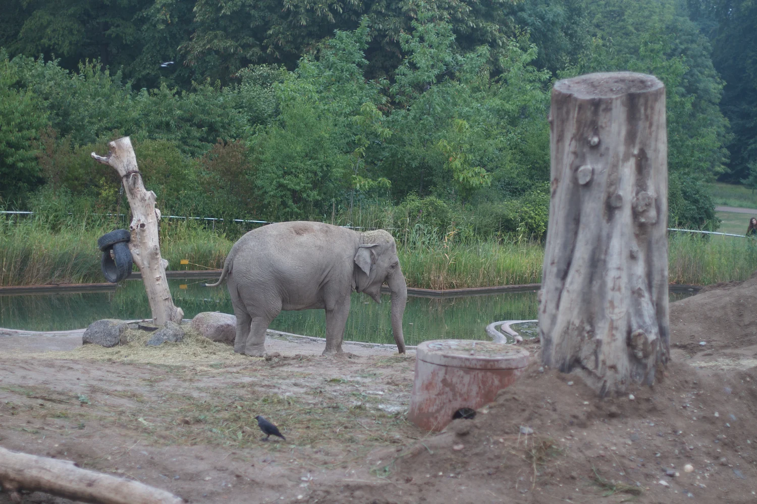 Anna gal bogorm 2013_08_08 122.jpg