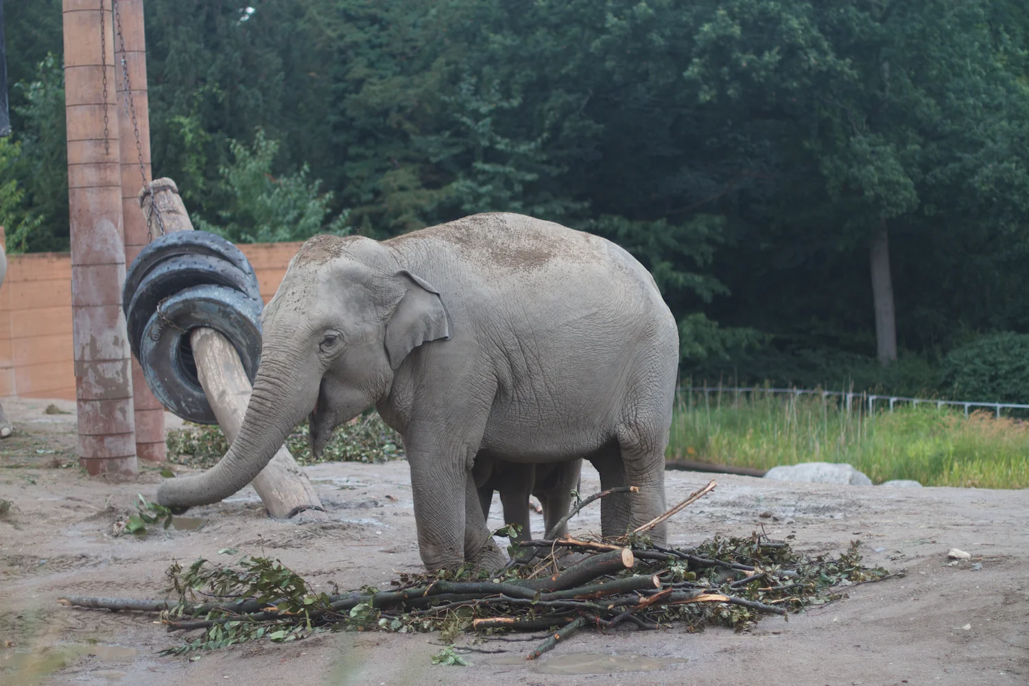 Anna gal bogorm 2013_08_08 123.jpg