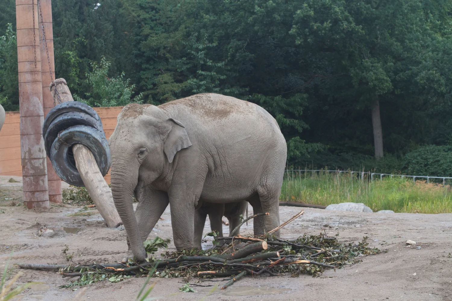 Anna gal bogorm 2013_08_08 124.jpg