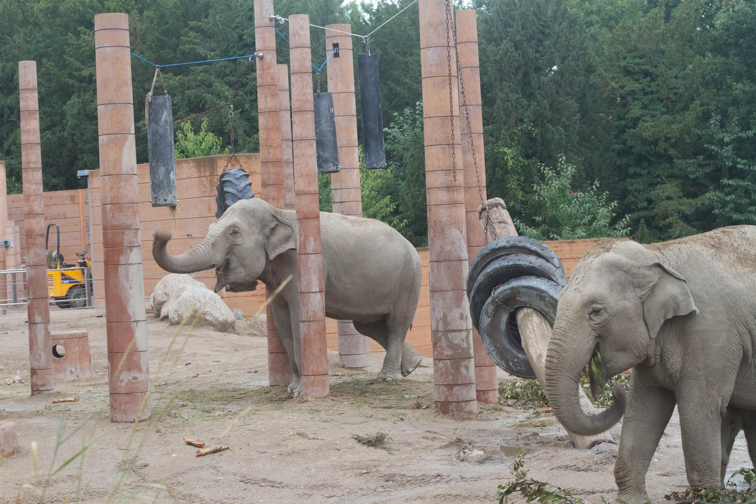 Anna gal bogorm 2013_08_08 125.jpg