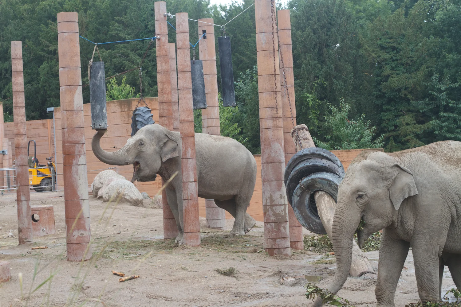 Anna gal bogorm 2013_08_08 126.jpg