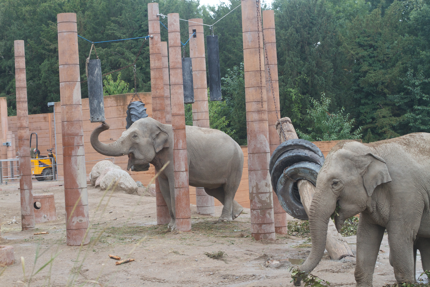 Anna gal bogorm 2013_08_08 127.jpg