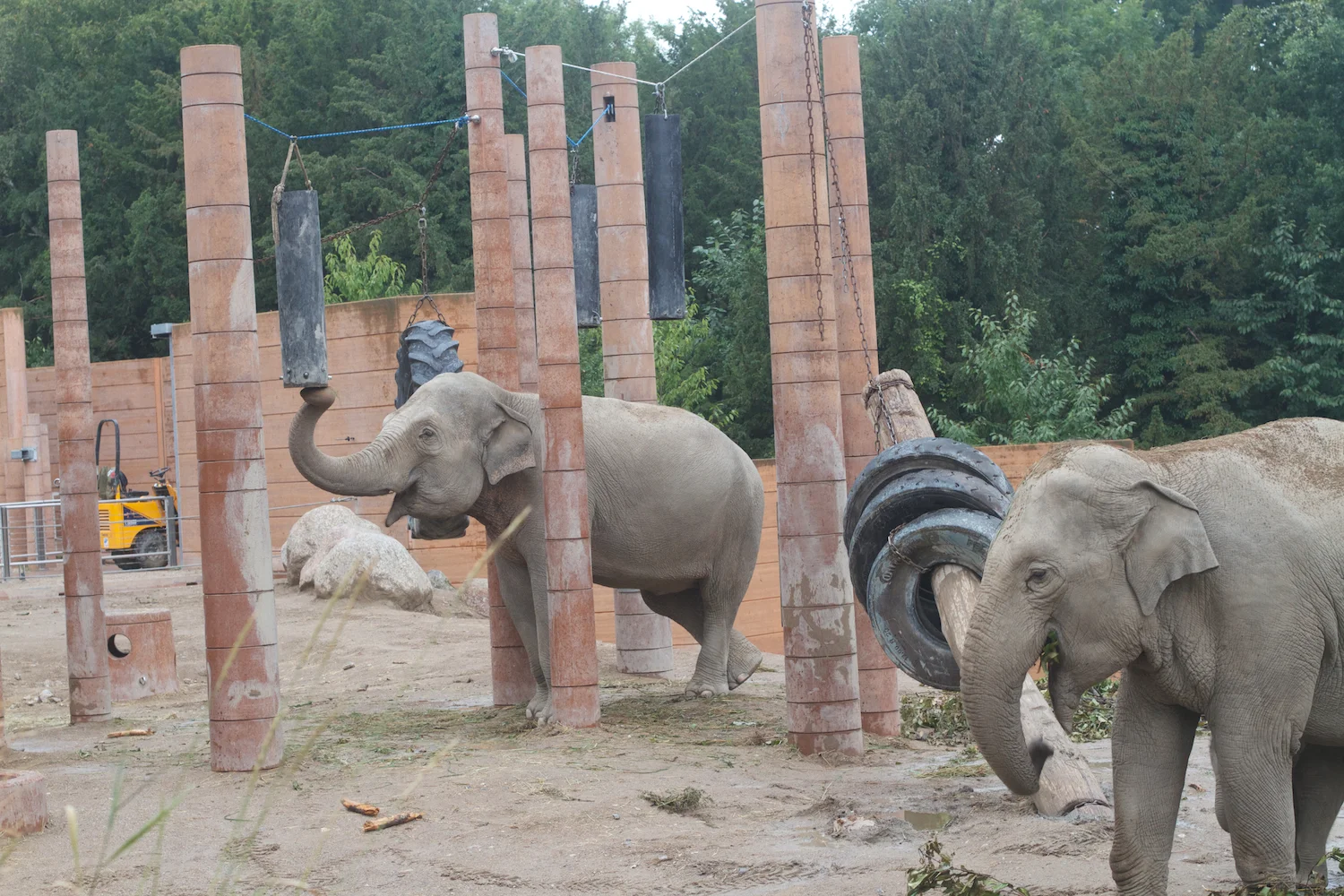 Anna gal bogorm 2013_08_08 128.jpg