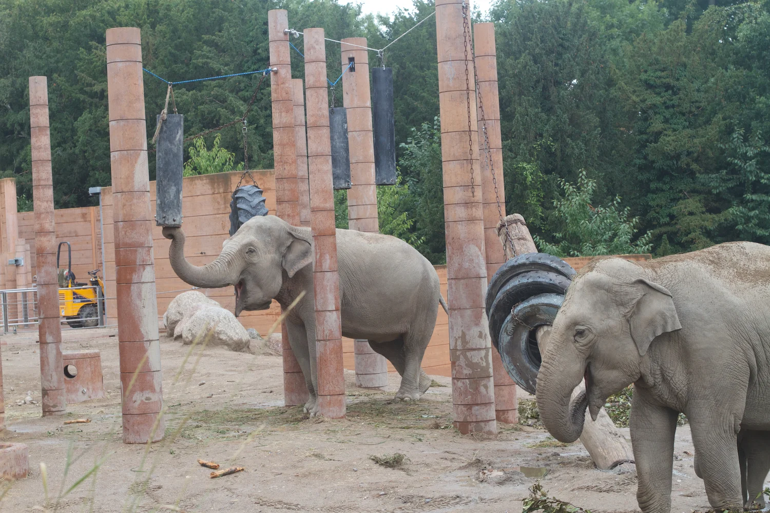 Anna gal bogorm 2013_08_08 129.jpg