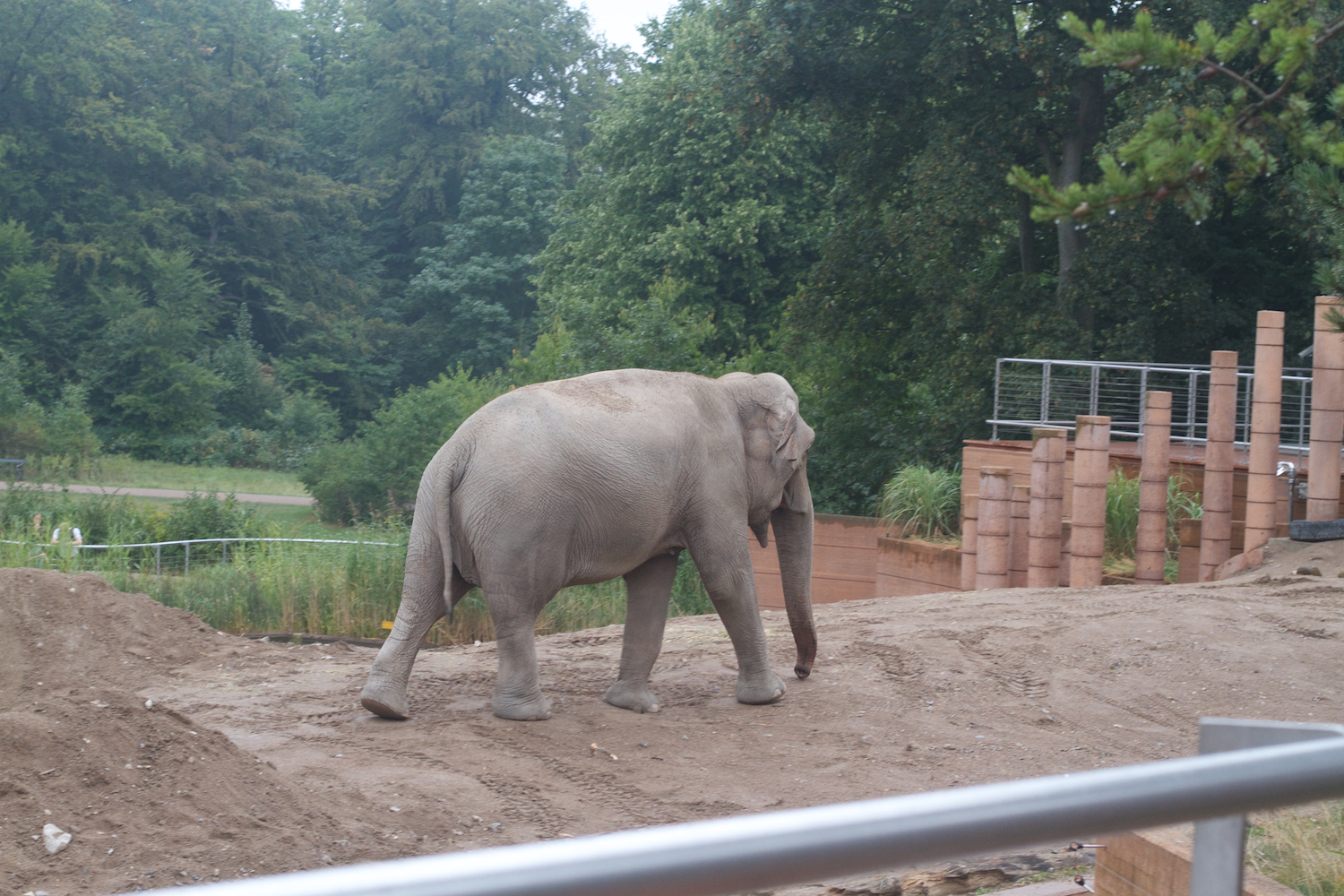 Anna gal bogorm 2013_08_08 131.jpg