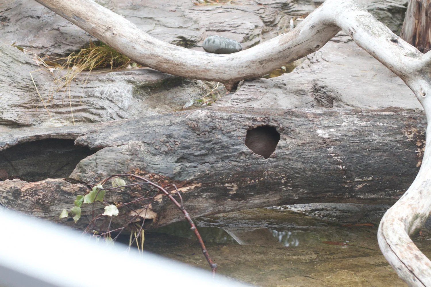 Anna gal bogorm 2013_08_08 132.jpg