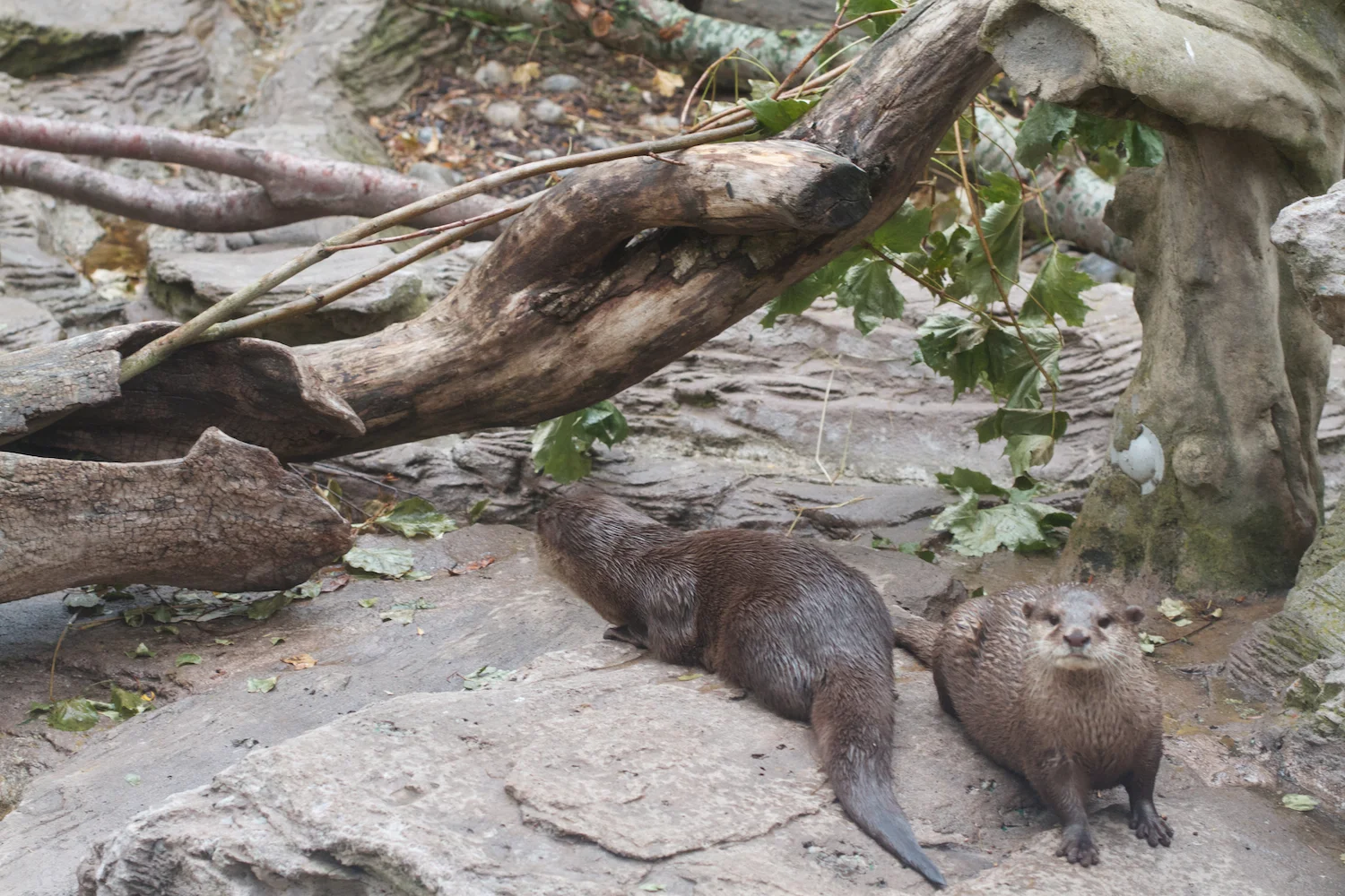 Anna gal bogorm 2013_08_08 136.jpg