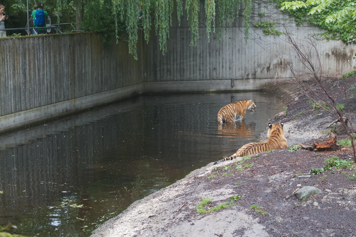 Anna gal bogorm 2013_08_08 140.jpg