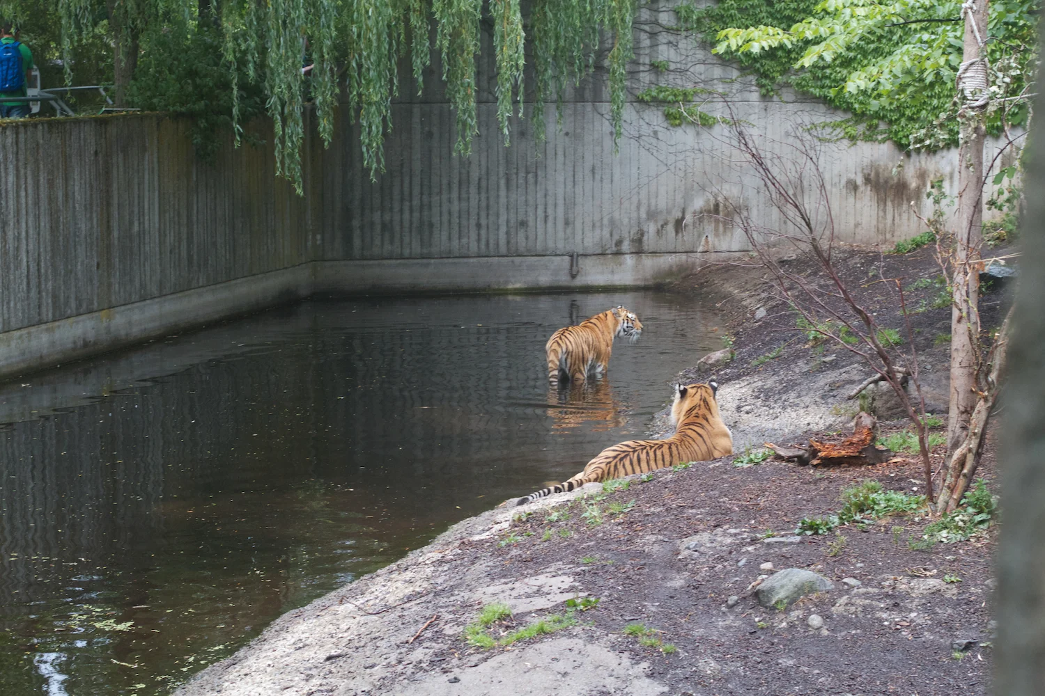 Anna gal bogorm 2013_08_08 139.jpg