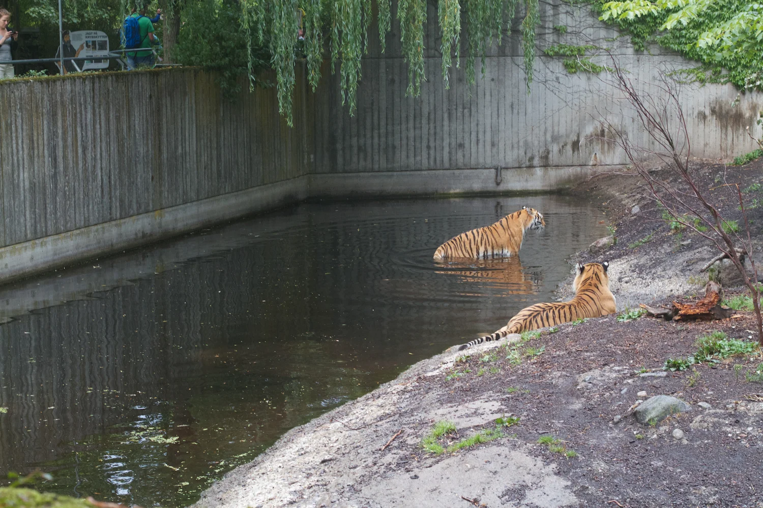 Anna gal bogorm 2013_08_08 141.jpg