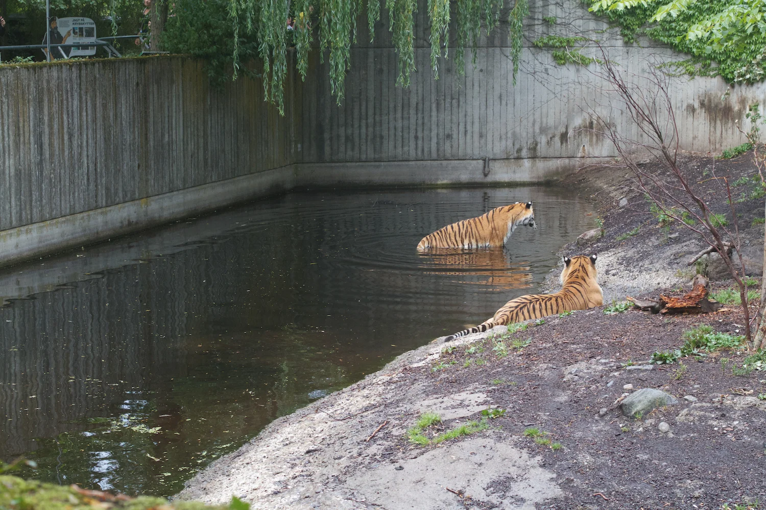 Anna gal bogorm 2013_08_08 142.jpg