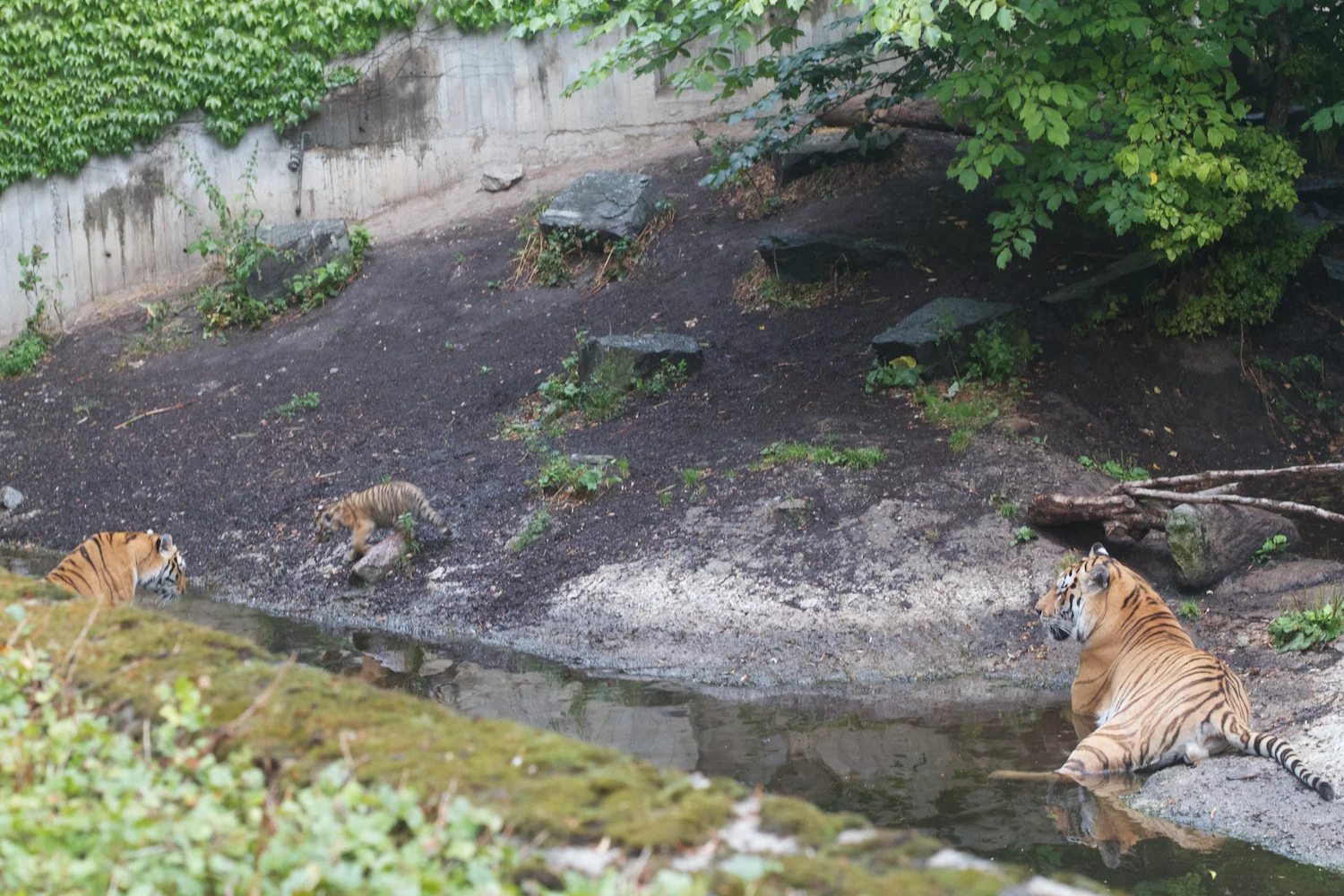 Anna gal bogorm 2013_08_08 143.jpg