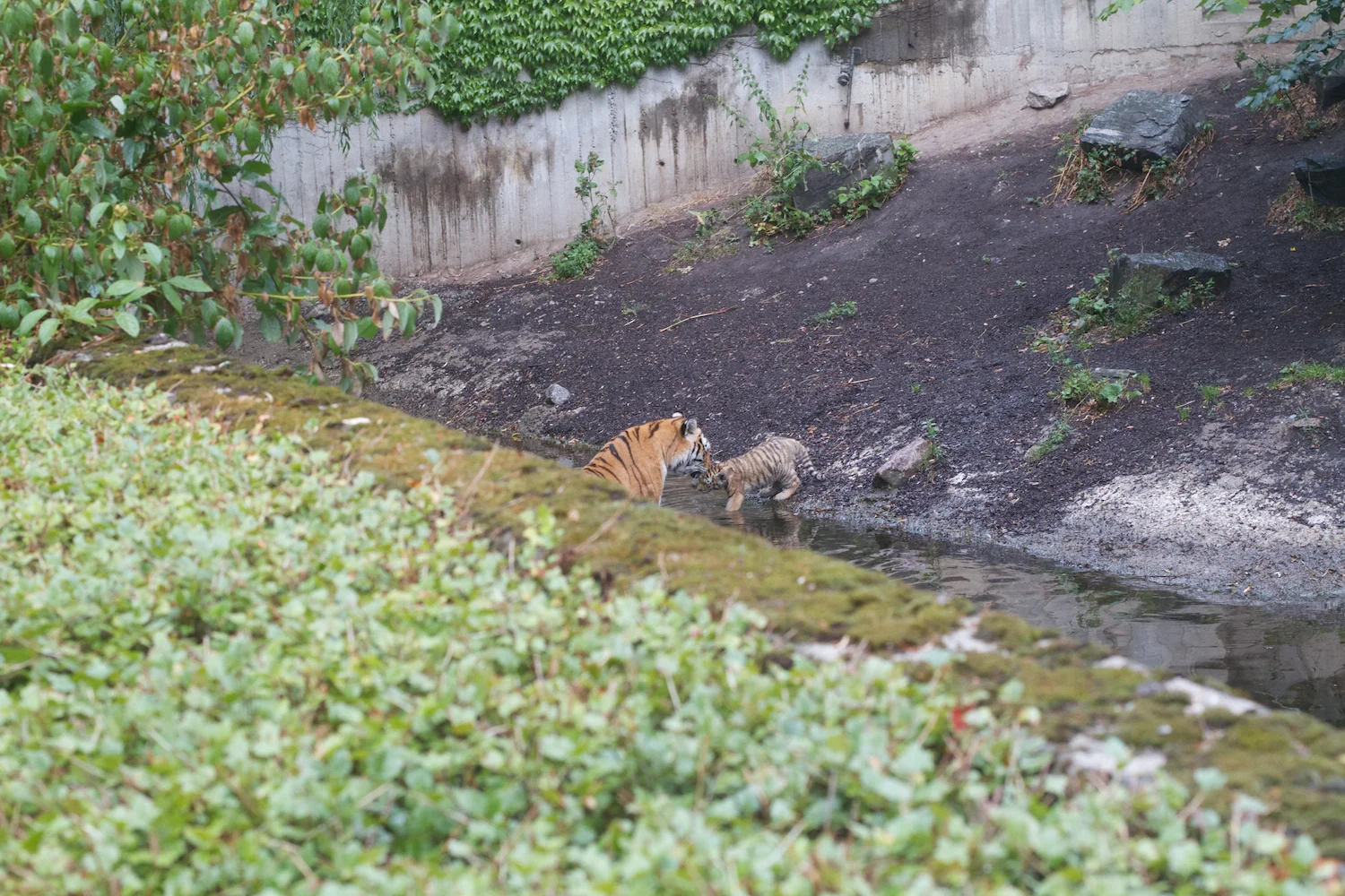 Anna gal bogorm 2013_08_08 144.jpg