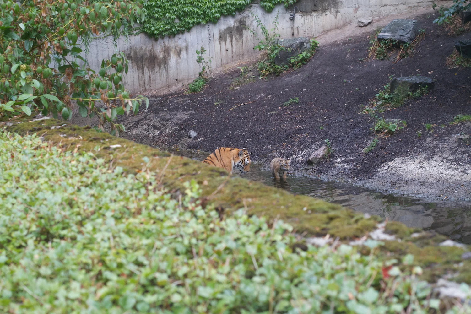 Anna gal bogorm 2013_08_08 145.jpg