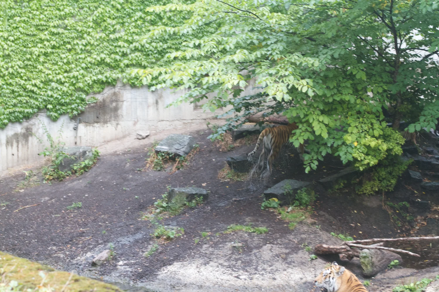 Anna gal bogorm 2013_08_08 146.jpg