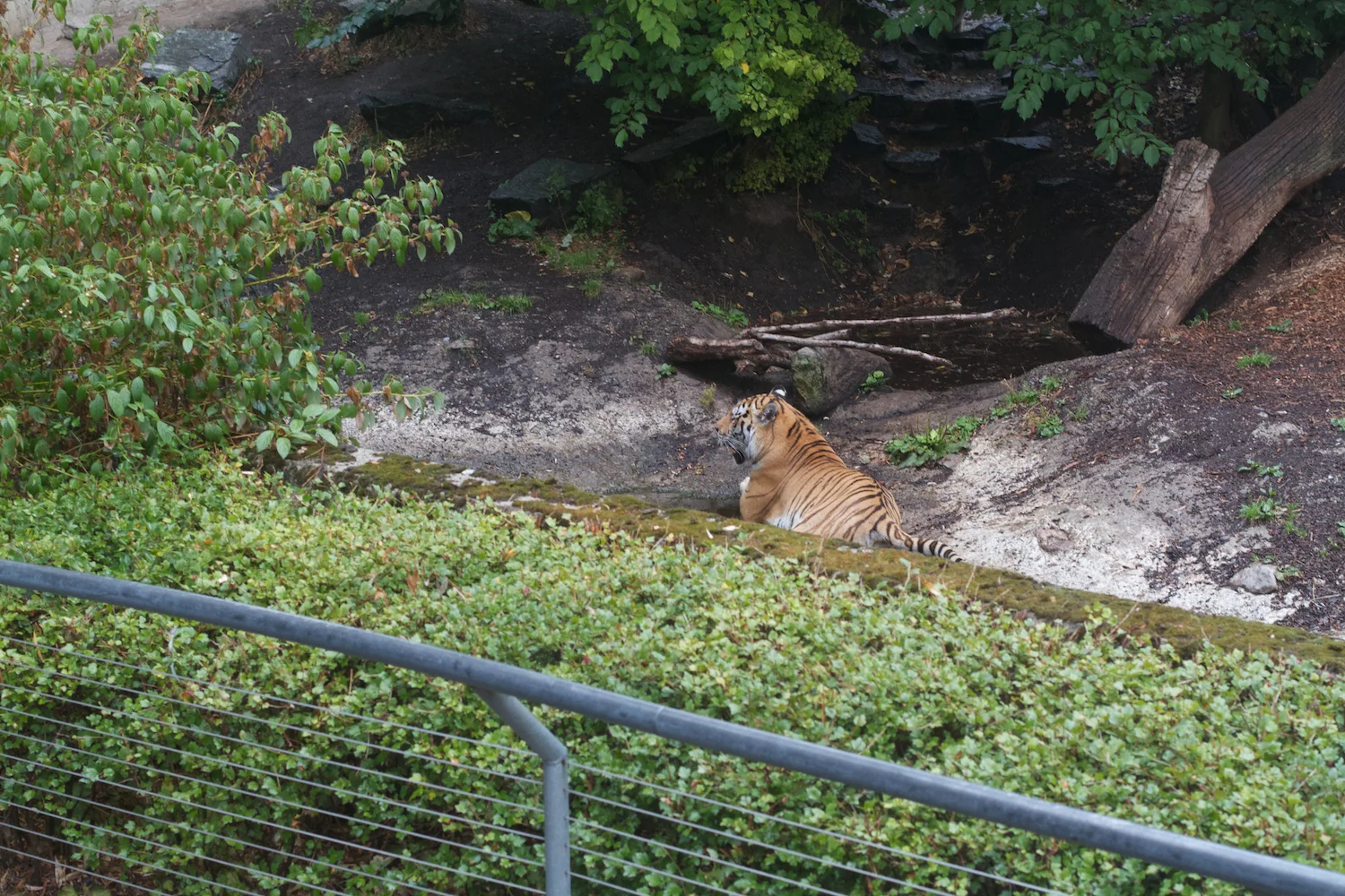 Anna gal bogorm 2013_08_08 147.jpg